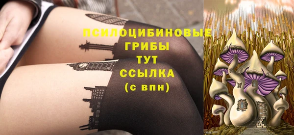 крисы Балахна