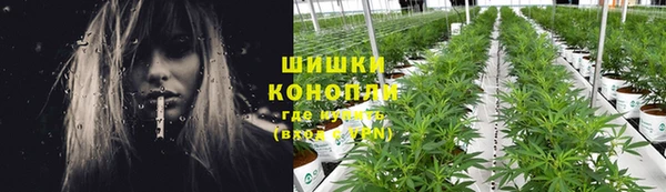крисы Балахна