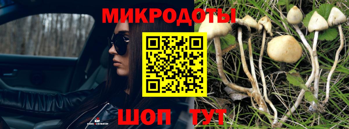Псилоцибиновые грибы Magic Shrooms Семилуки