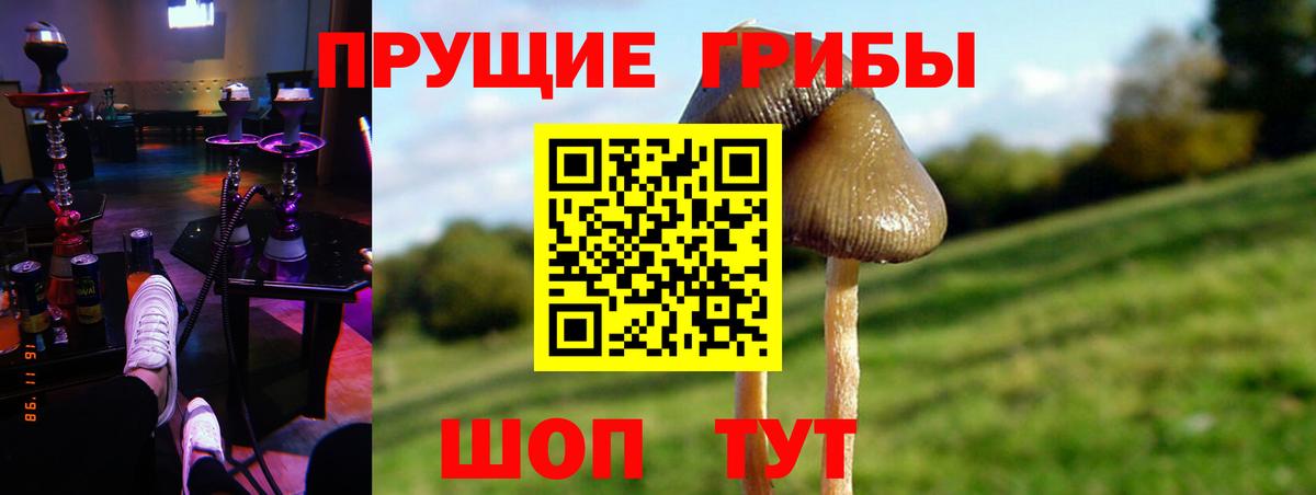 Псилоцибиновые грибы MAGIC MUSHROOMS  Вход с VPN  Семилуки 